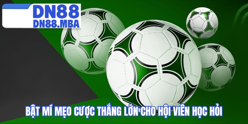 Bật mí mẹo cược thắng lớn cho hội viên học hỏi